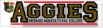 Promotional .002 Custom Shape Clear Gloss Polyester / std adhesive back Decals (4.1 to 7 square inches) Screen-printed
