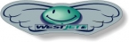 Promotional .002 Custom Shape Compucal Silver Matte Polyester / high performance adhesive Decals (51 to 75 square inches) Screen-printed